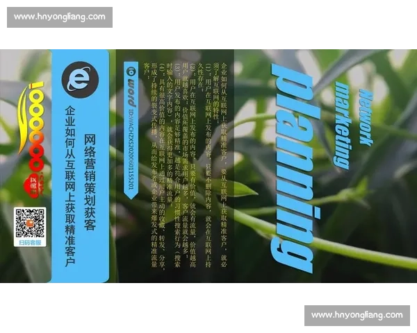 体育网站优化策略与精准流量提升运营实战全解析方法论分享与案例